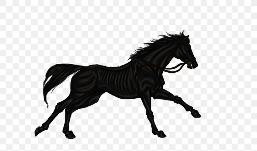Mane Mustang Stallion Shire Horse Pony, PNG, 600x482px, Mane, Animal Figure, Bit, Black, Black And White Download Free