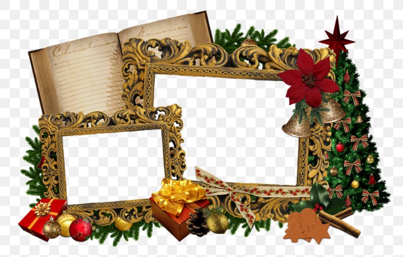 Picture Frames Photography Concepts Of Culture: Art, Politics, And Society, PNG, 800x524px, Picture Frames, Christmas, Christmas Decoration, Christmas Ornament, Culture Download Free