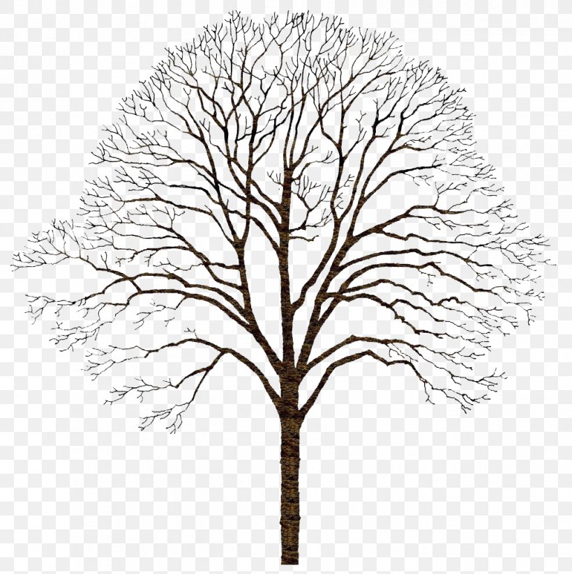 Tree, PNG, 1018x1024px, Tree, Black And White, Branch, Creative Work, Designer Download Free