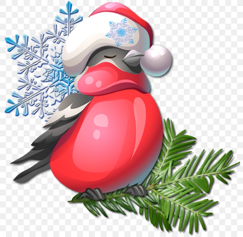 Beak Christmas Ornament Bird Clip Art, PNG, 800x800px, Beak, Bird, Christmas, Christmas Ornament, Vertebrate Download Free