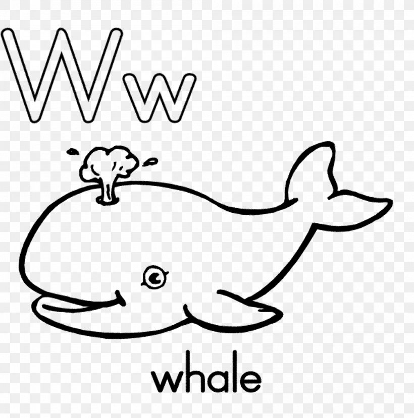 Coloring Book Killer Whale Whale Shark, PNG, 2000x2024px, Coloring Book, Area, Art, Beak, Beluga Whale Download Free