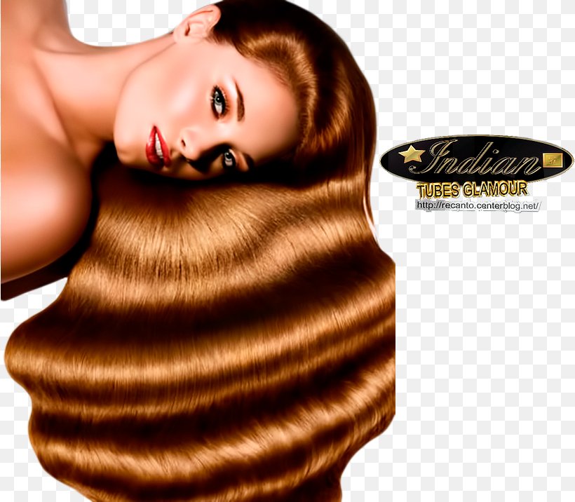Hair Coloring Long Hair, PNG, 818x716px, Hair Coloring, Brown Hair, Hair, Long Hair, Neck Download Free