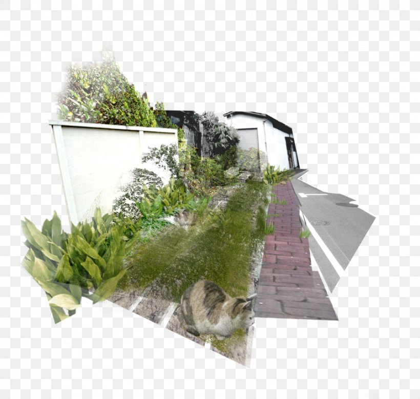 Land Lot Tree Roof Herb Real Property, PNG, 900x856px, Land Lot, Grass, Herb, Plant, Real Property Download Free
