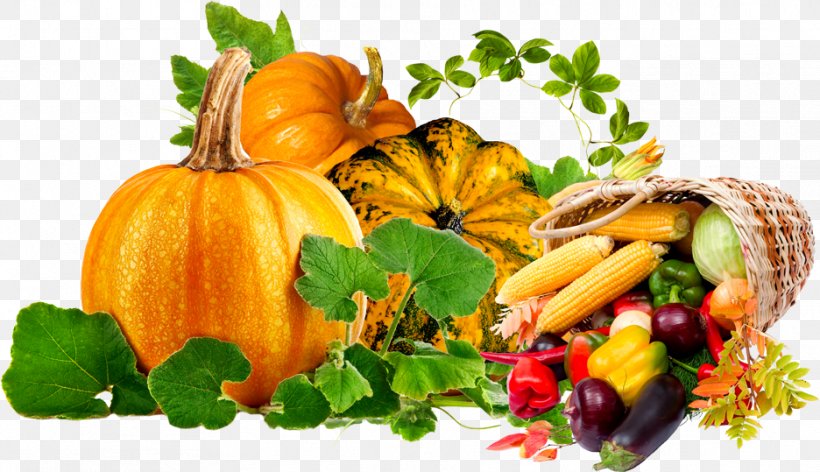Pumpkin Calabaza Winter Squash Vegetable Food, PNG, 936x539px, Pumpkin, Calabaza, Cucumber Gourd And Melon Family, Cucurbita, Diet Food Download Free