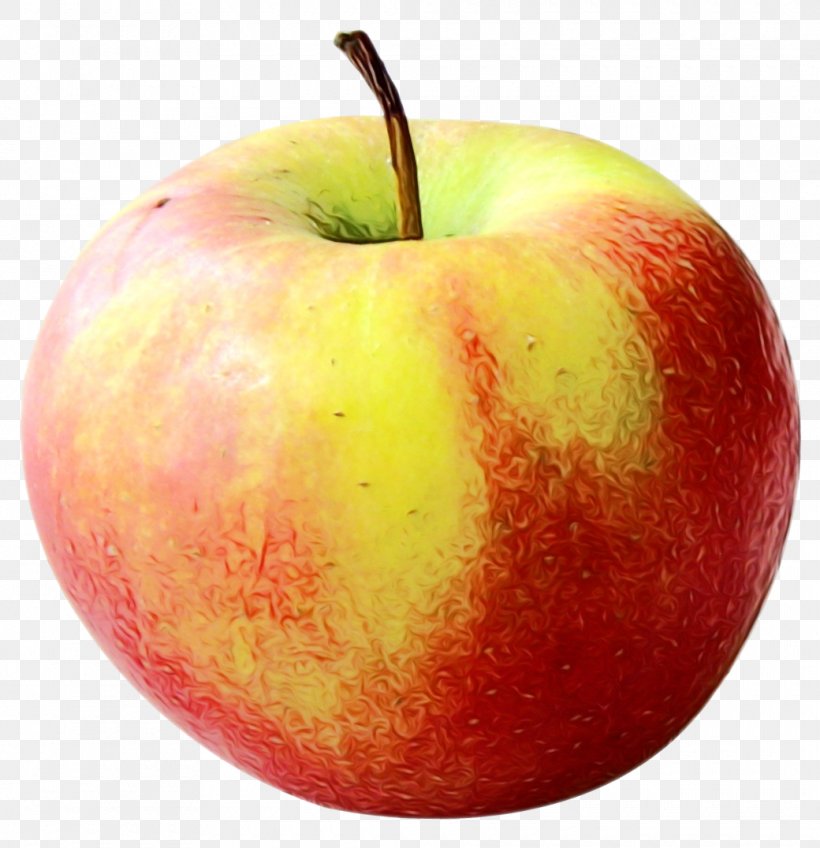 Apple Background, PNG, 1040x1076px, Food, Accessory Fruit, Apple, Diet, Diet Food Download Free