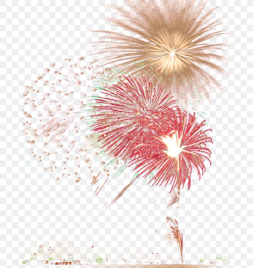 Fireworks Firecracker New Year, PNG, 673x868px, Fireworks, Event, Explosion, Firecracker, Flower Download Free