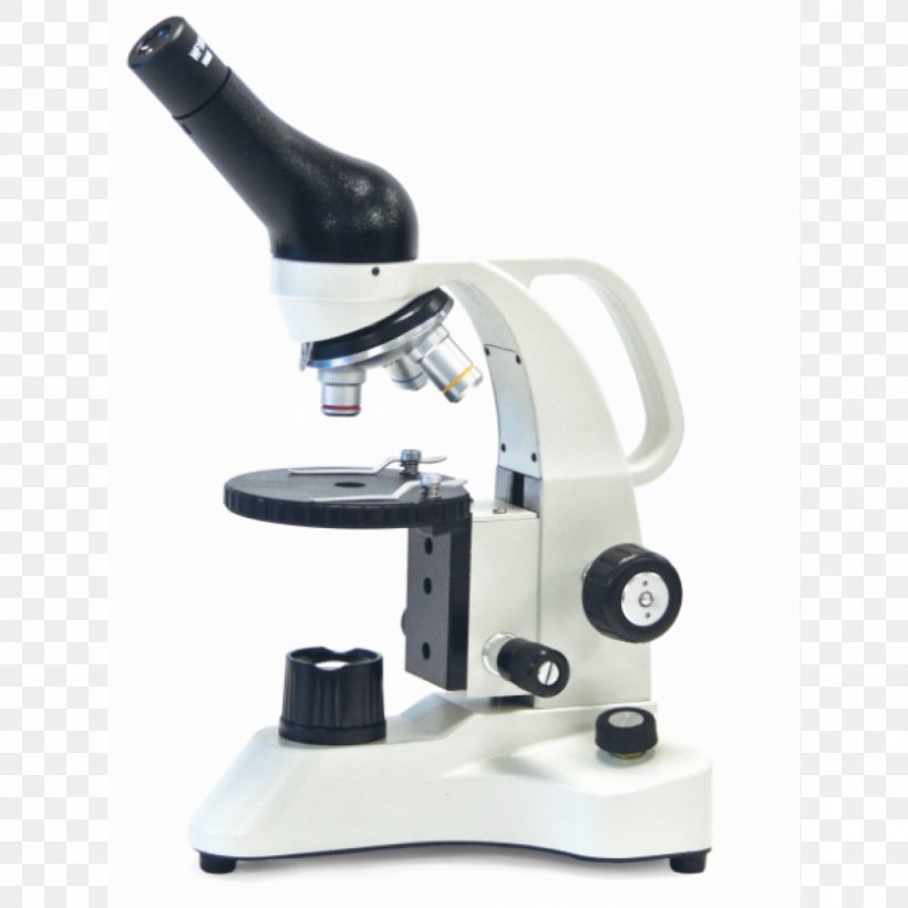 Optical Microscope Stereo Microscope Monocular Eyepiece, PNG, 1200x1200px, Optical Microscope, Condenser, Eyepiece, Magnification, Manufacturing Download Free