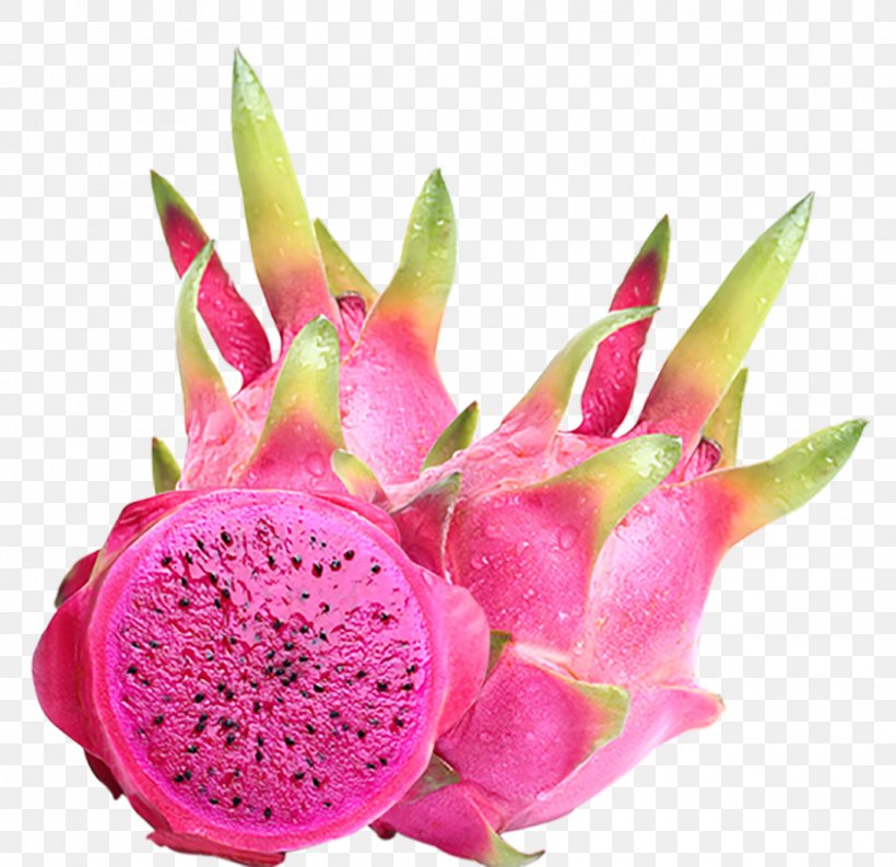 Pitaya Fruit Image White-fleshed Pitahaya, PNG, 1063x1028px, Pitaya, Cactus, Costa Rican Pitahaya, Dragon, Dragonfruit Download Free