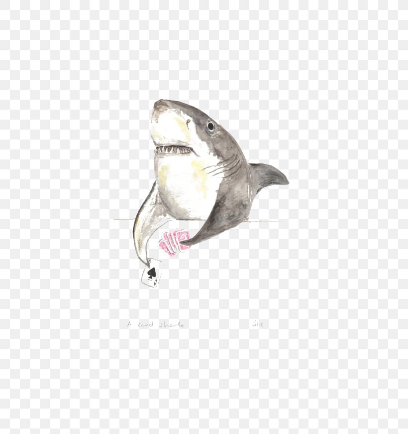 Shark Watercolor Painting Art Illustration, PNG, 564x871px, Shark, Art, Beak, Cartoon, Drawing Download Free