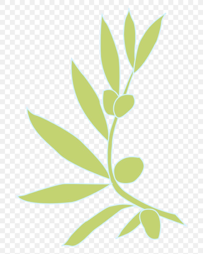 Leaf Plant Flower Tree Branch, PNG, 724x1024px, Leaf, Branch, Flower, Flowering Plant, Plant Download Free