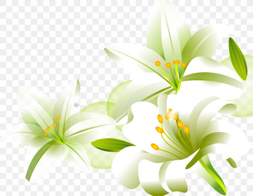 Lilium Download Cartoon, PNG, 1218x944px, Lilium, Art, Cartoon, Cut Flowers, Flora Download Free