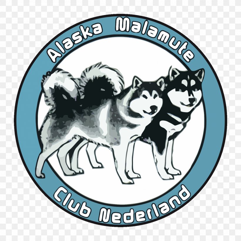 Siberian Husky Alaskan Malamute Alaskan Husky Iditarod Trail Sled Dog Race Breed Club, PNG, 1410x1410px, Siberian Husky, Alaska, Alaskan Husky, Alaskan Malamute, Breed Club Download Free