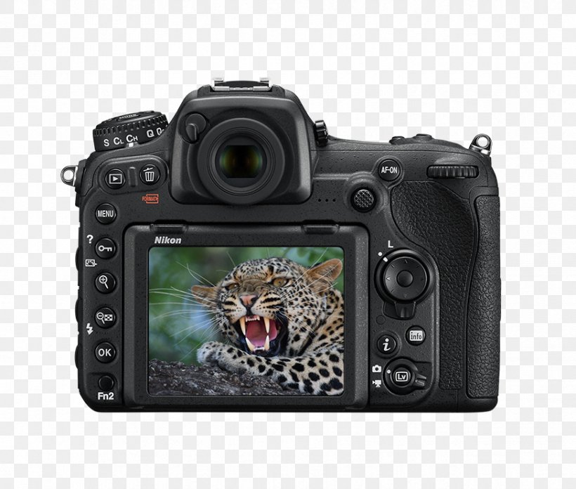 Digital SLR Nikon DX Format Nikon AF-S DX Nikkor 35mm F/1.8G Camera, PNG, 874x742px, Digital Slr, Camera, Camera Accessory, Camera Lens, Cameras Optics Download Free