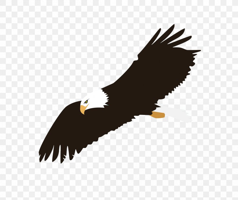 Eagle Flight Bald Eagle Clip Art, PNG, 2400x2018px, Eagle Flight, Accipitriformes, Bald Eagle, Beak, Bird Download Free