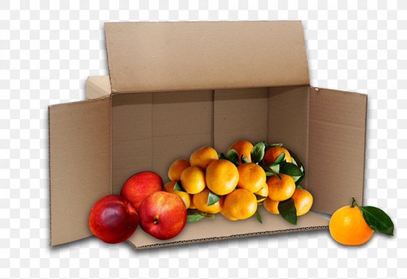Paper Box Fruit Auglis Citrus, PNG, 1055x724px, Paper, Auglis, Box, Carton, Citrus Download Free