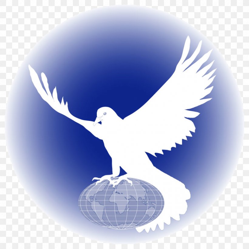 Repentance End Time Holiness Movement Second Coming Messiah, PNG, 859x859px, Repentance, Beak, Bird, Bird Of Prey, Christian Church Download Free