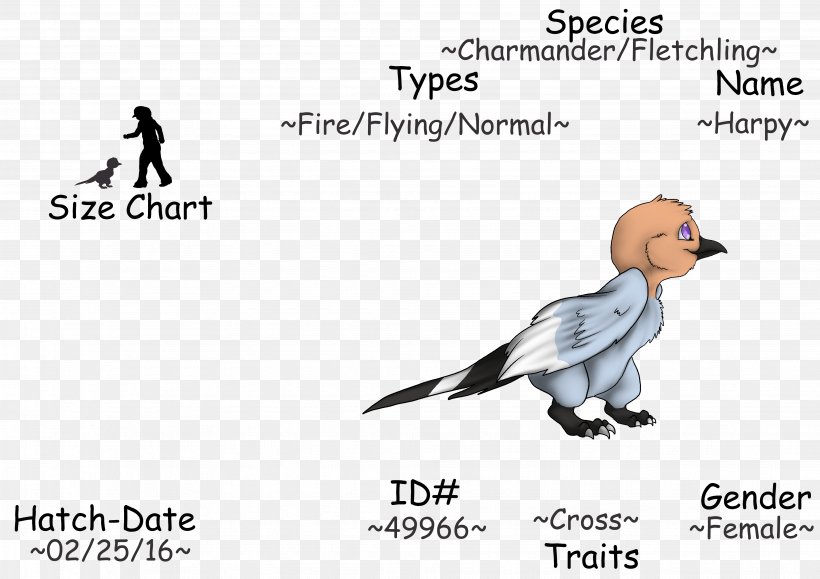 Beak Water Bird Goose Flightless Bird, PNG, 3906x2762px, Beak, Anatidae, Area, Bird, Cartoon Download Free