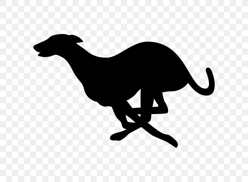 Dog Whippet Sighthound Italian Greyhound Silhouette, PNG, 600x600px, Dog, Italian Greyhound, Sighthound, Silhouette, Tail Download Free
