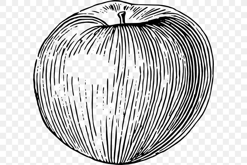 Drawing Apple Fruit Clip Art, PNG, 600x547px, Drawing, Apple, Apples, Black And White, Food Download Free