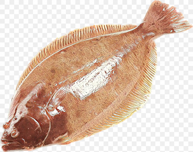 Flatfish Sole Fish Flounder Fish, PNG, 1930x1520px, Cartoon, Fish, Flatfish, Flounder, Food Download Free