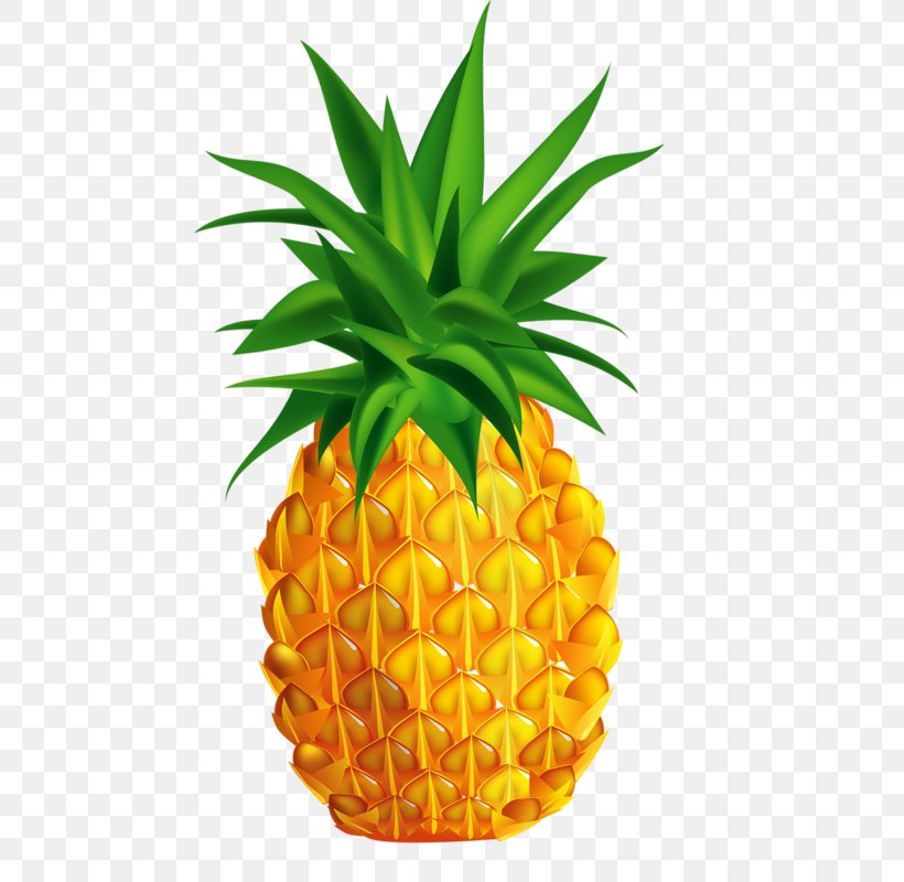 Juice Pineapple Stock Photography Illustration, PNG, 468x800px, Pineapple, Ananas, Bromeliaceae, Can Stock Photo, Flowerpot Download Free