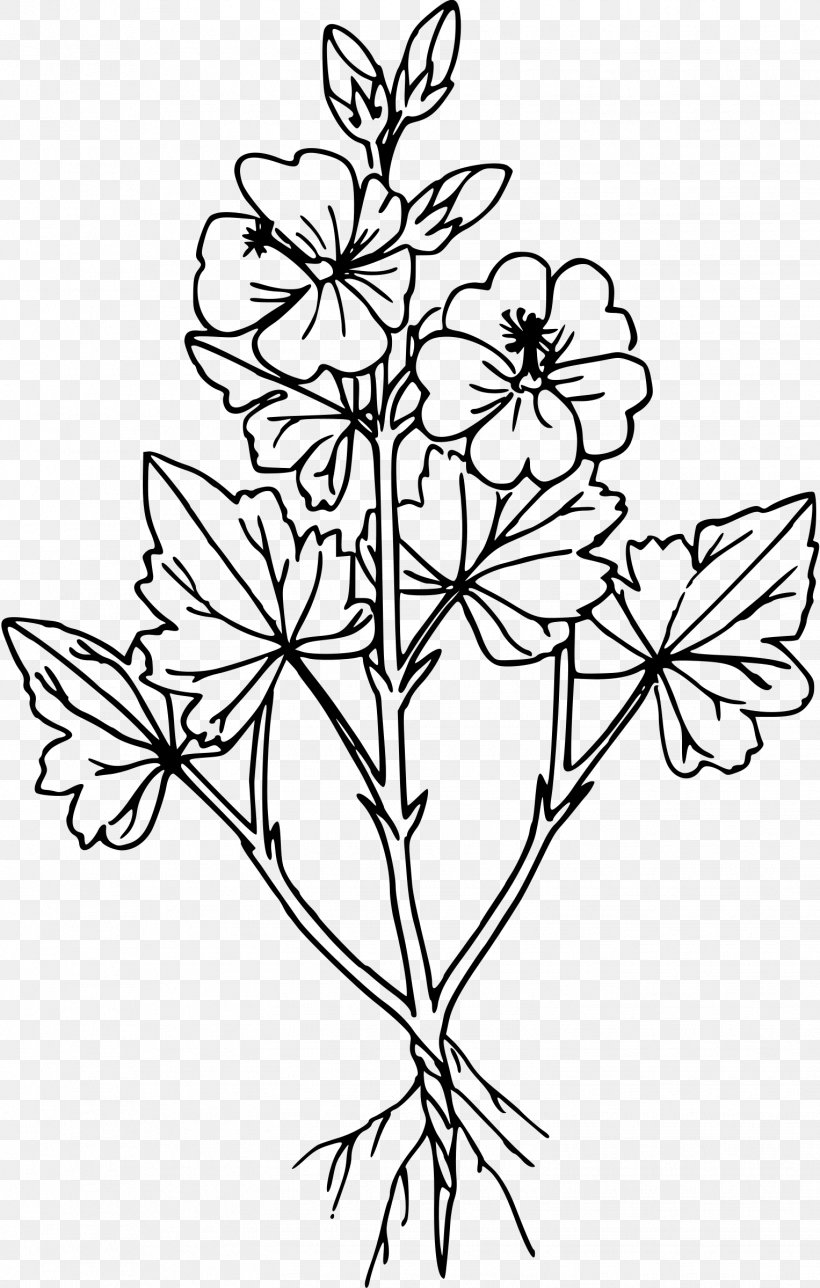 Sphaeralcea Coccinea Drawing Line Art Clip Art, PNG, 1527x2400px, Drawing, Black And White, Botanical Illustration, Branch, Flora Download Free