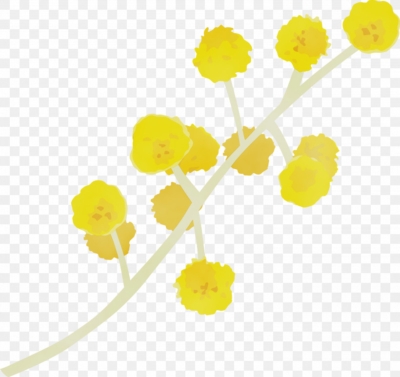Yellow Flower Plant Plant Stem Cut Flowers, PNG, 3000x2829px, Watercolor, Cut Flowers, Flower, Paint, Plant Download Free