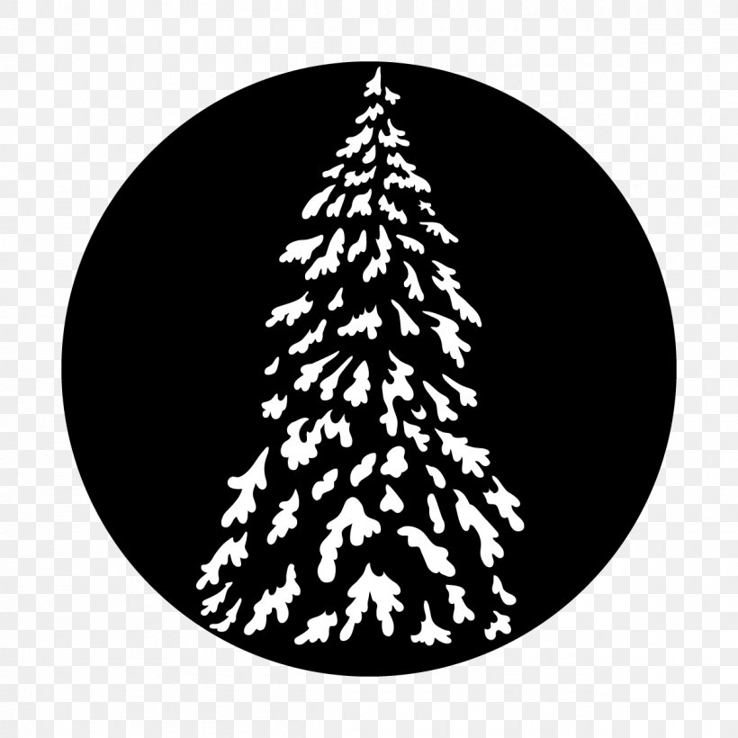 Christmas Tree, PNG, 1200x1200px, Christmas Tree, Christmas Decoration, Colorado Spruce, Conifer, Evergreen Download Free