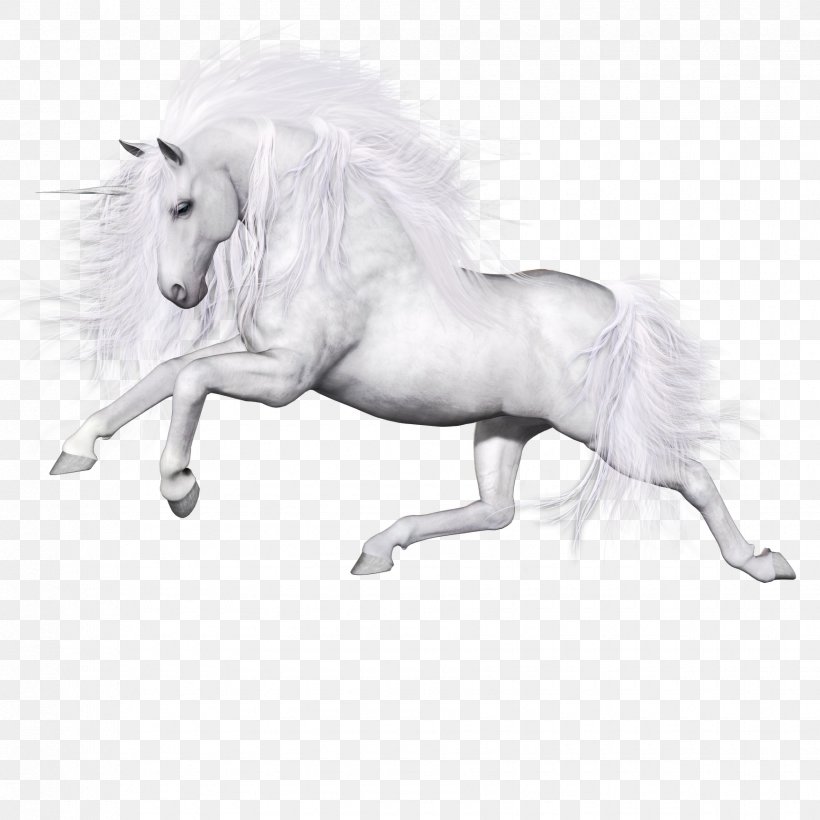 Ferghana Horse Unicorn Pegasus, PNG, 1750x1750px, Ferghana Horse, Black And White, Fictional Character, Horse, Horse Like Mammal Download Free