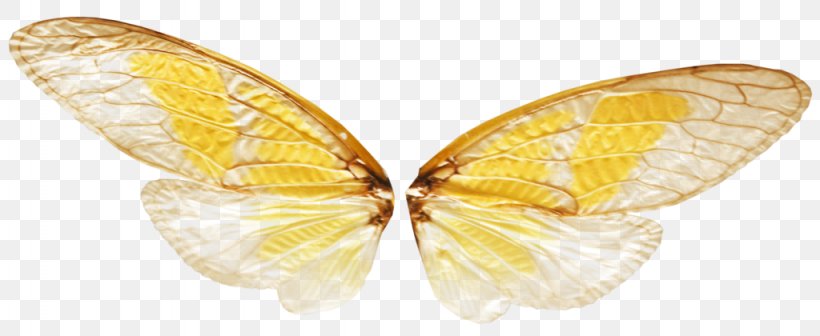 Transparency And Translucency Butterfly Insect, PNG, 1024x420px, Transparency And Translucency, Arthropod, Bombycidae, Butterfly, Cicadoidea Download Free