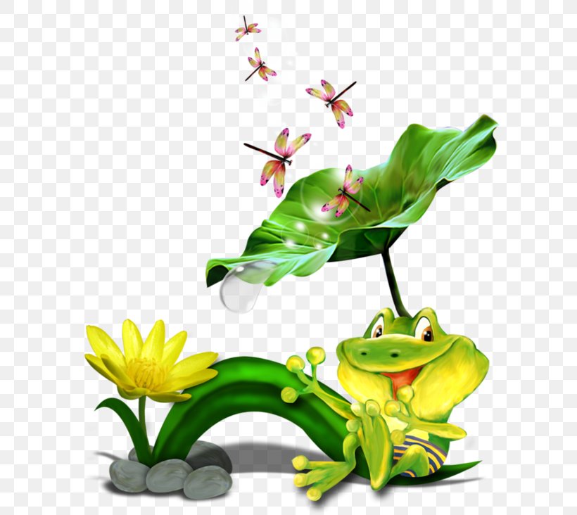 Tree Frog True Frog Edible Frog Clip Art, PNG, 600x732px, Tree Frog, Amphibian, Drawing, Edible Frog, Flora Download Free