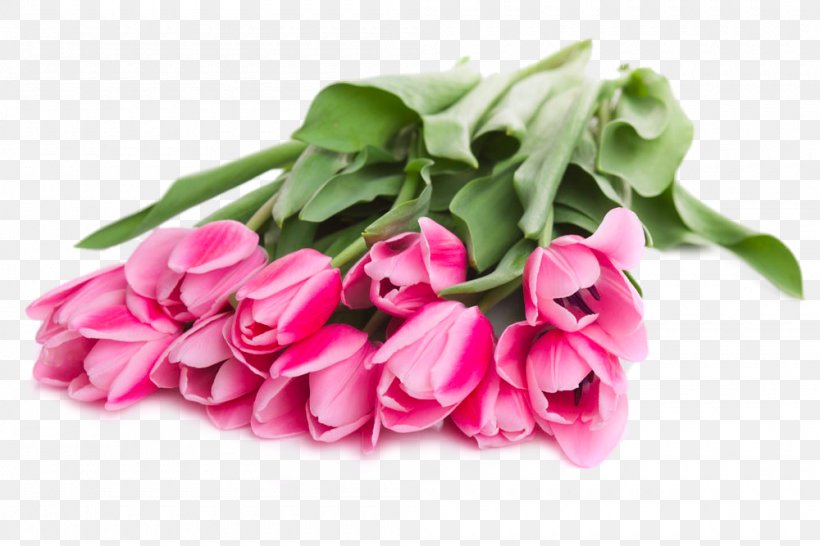 Tulip Flower Bouquet Red, PNG, 1000x667px, Tulip, Artificial Flower, Cut Flowers, Floral Design, Floristry Download Free