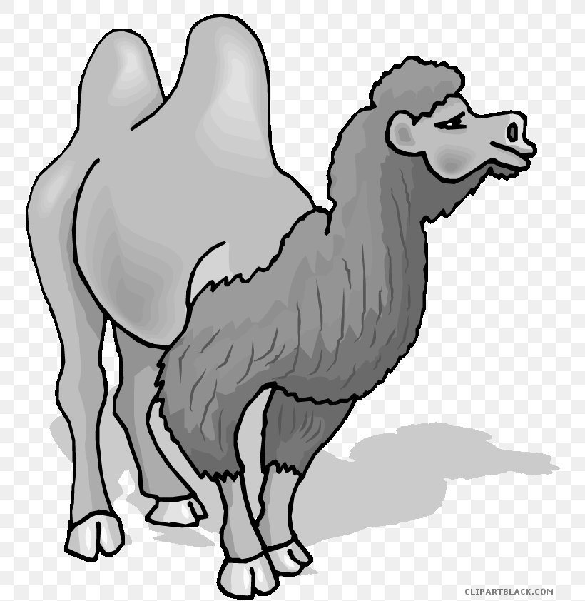 Bactrian Camel Dromedary Clip Art Openclipart Image, PNG, 750x842px, Watercolor, Cartoon, Flower, Frame, Heart Download Free