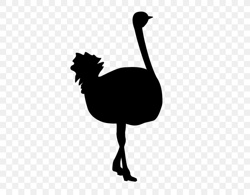 Common Ostrich Goose Flightless Bird Silhouette Animal, PNG, 640x640px, Common Ostrich, Animal, Beak, Bird, Black And White Download Free