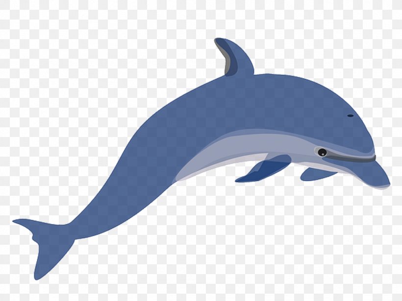 Dolphin Clip Art, PNG, 1024x768px, Dolphin, Bottlenose Dolphin, Common Bottlenose Dolphin, Fauna, Fin Download Free