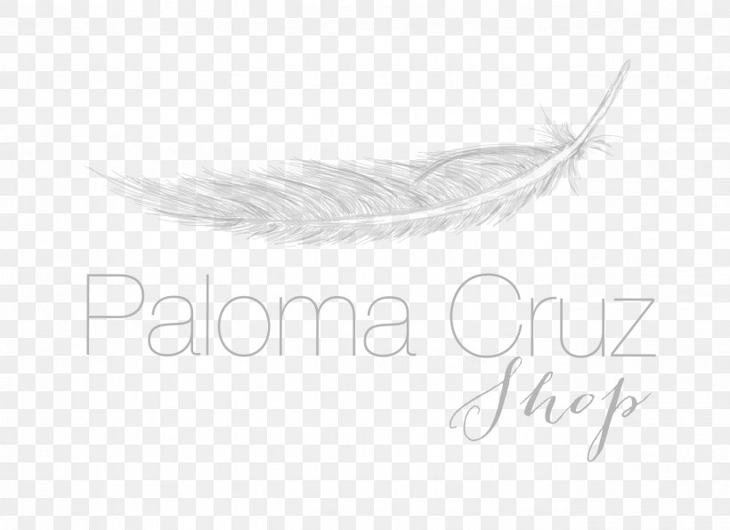 Feather White Quill Corp, PNG, 2599x1890px, Feather, Artwork, Bird, Black And White, Quill Download Free