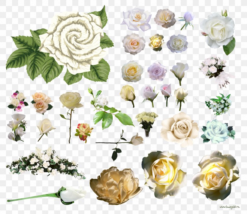 Garden Roses Centifolia Roses Flower Clip Art, PNG, 2627x2283px, Garden Roses, Centifolia Roses, Cut Flowers, Digital Image, Flora Download Free