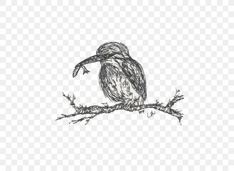 Hawk Owl Eagle Beak Drawing, PNG, 600x600px, Hawk, Beak, Bird, Bird Of Prey, Black And White Download Free