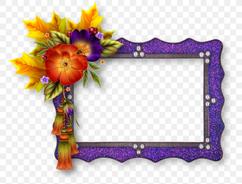 Picture Frames Molding Idea Rigid Frame, PNG, 778x624px, Picture Frames, Border, Bulletin Board, Cut Flowers, Flora Download Free