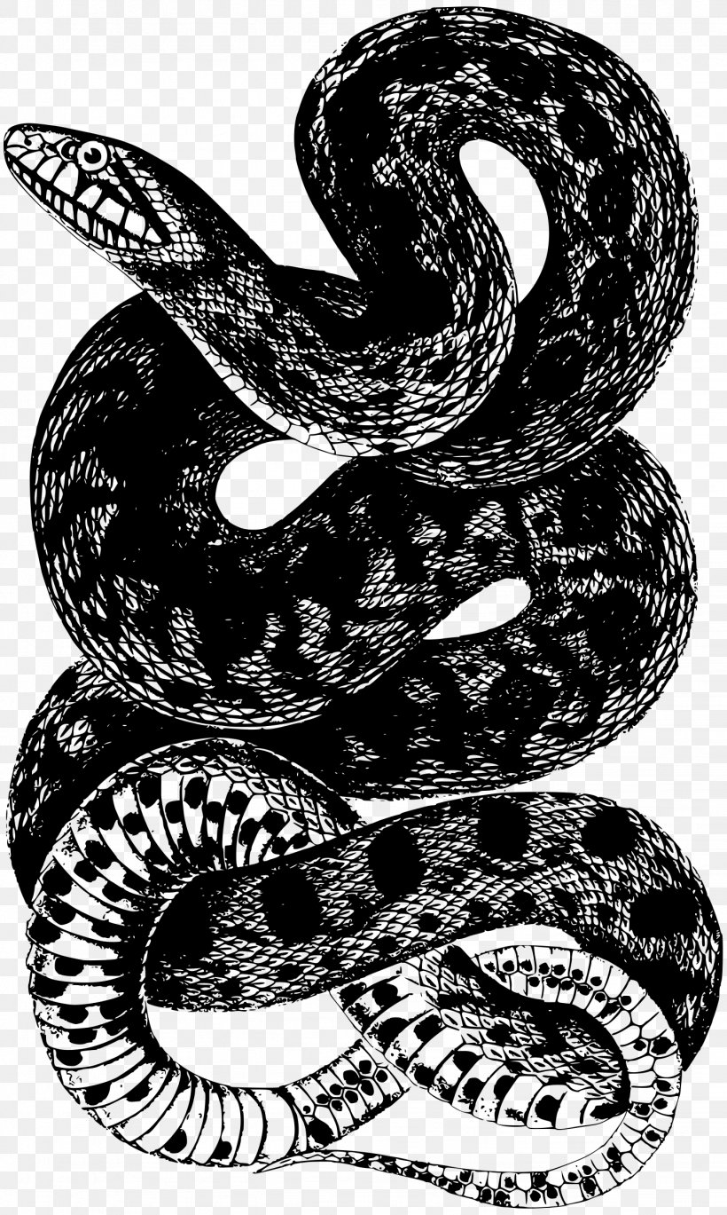 Snake Reptile, PNG, 1437x2400px, Snake, Art, Black And White, Boa Constrictor, Boas Download Free