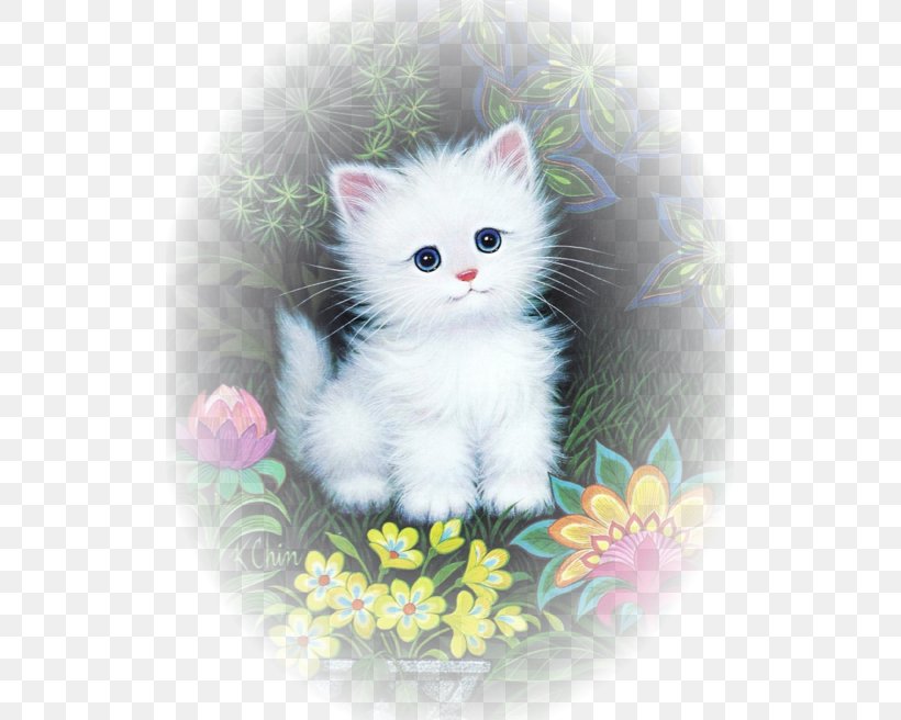 Kitten Persian Cat Asian Semi-longhair Turkish Angora Ragamuffin Cat, PNG, 517x656px, Kitten, Asian Semi Longhair, Asian Semilonghair, British Semi Longhair, British Semilonghair Download Free