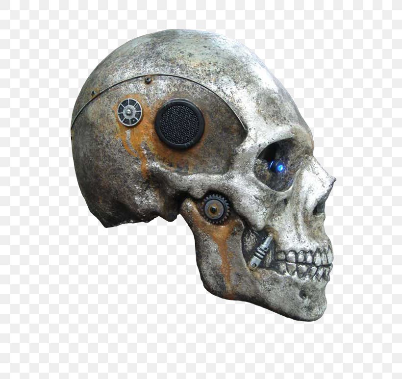 Skull Vertebrate Bone Brain Skeleton, PNG, 580x773px, Heavy Metal, Art, Artist, Bass Agenda Recordings, Black Metal Download Free