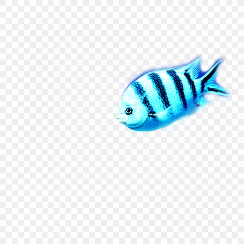 Turquoise Fish Pattern, PNG, 1701x1701px, Turquoise, Aqua, Azure, Blue, Cobalt Blue Download Free