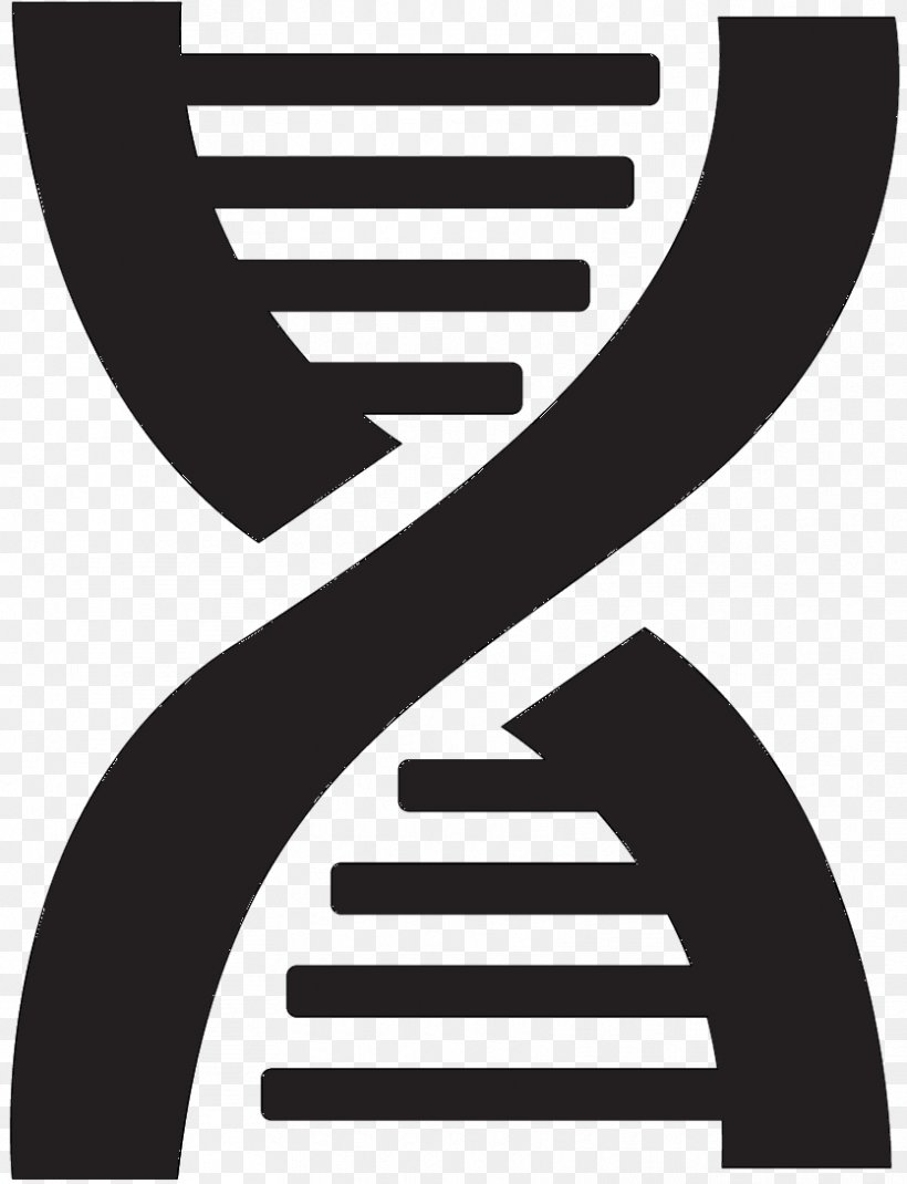 DNA Nucleic Acid Double Helix Vector Graphics Euclidean Vector, PNG, 835x1090px, Dna, Blackandwhite, Brand, Gene, Genetics Download Free