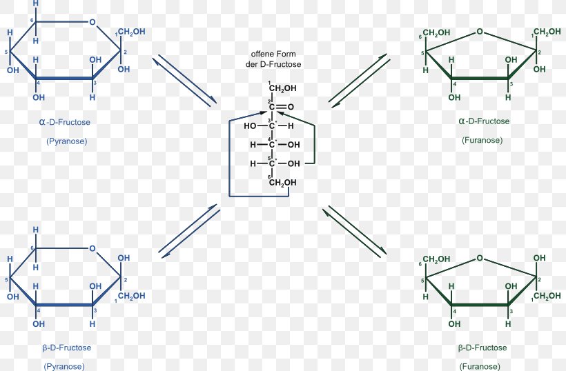 Fructose Pyranose Carbohydrate Point, PNG, 805x538px, 27 November, Fructose, Area, Author, Carbohydrate Download Free