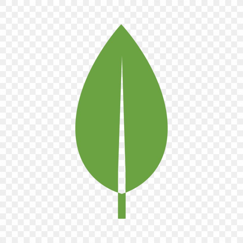 MongoDB Node.js Npm Open-source Model AngularJS, PNG, 1000x1000px, Mongodb, Android, Angularjs, Computer Software, Database Download Free