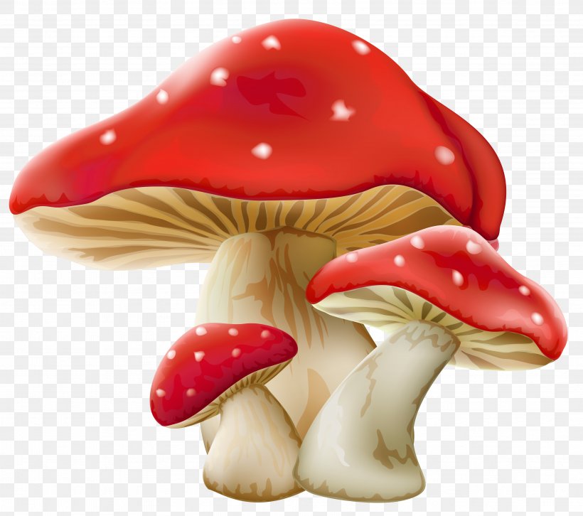 Mushroom Clip Art, PNG, 4782x4238px, Mushroom, Bbcode