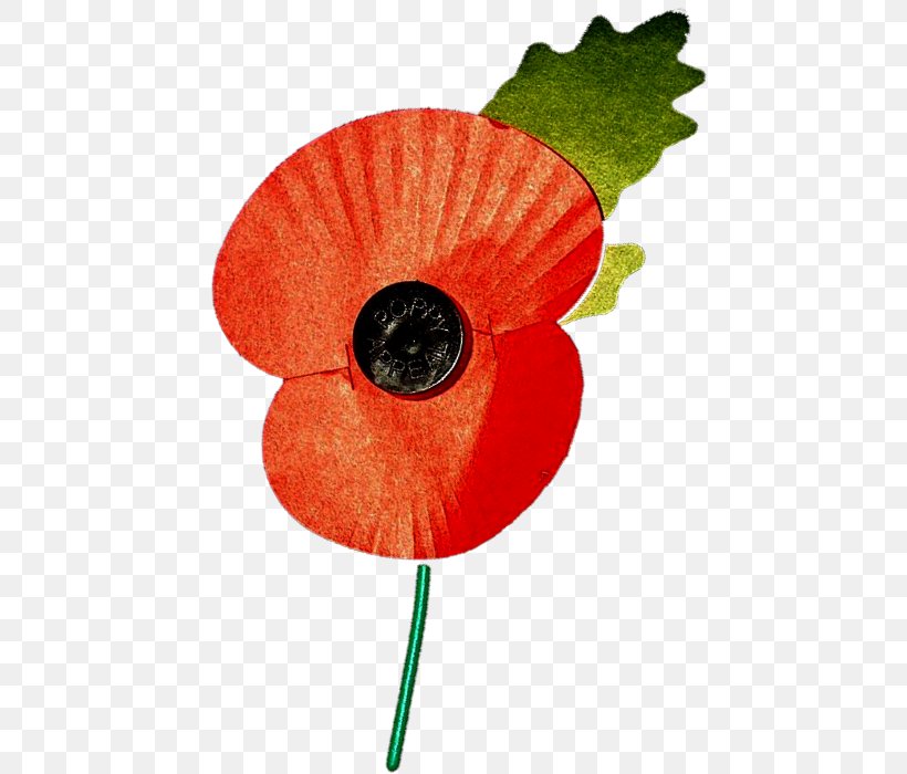 Remembrance Poppy The Royal British Legion Leaf Petal Plant Stem, PNG, 482x700px, Remembrance Poppy, Coquelicot, Flower, Flowering Plant, Leaf Download Free