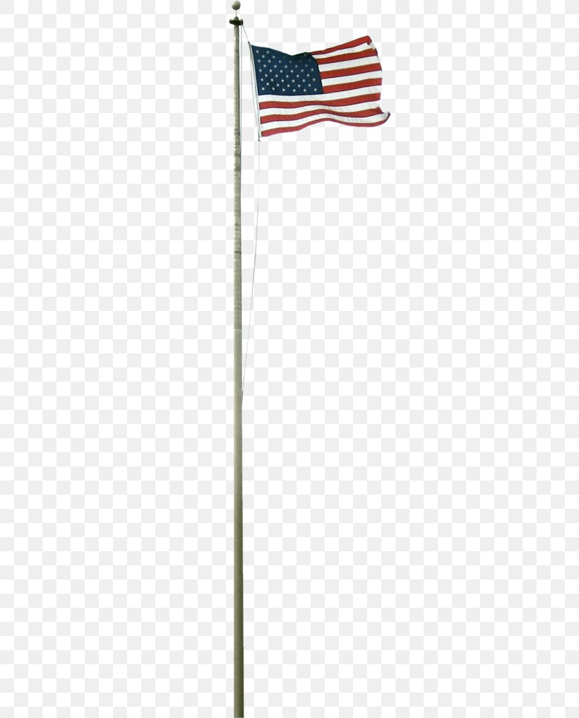 Flag Cartoon, PNG, 504x1016px, Flag Download Free