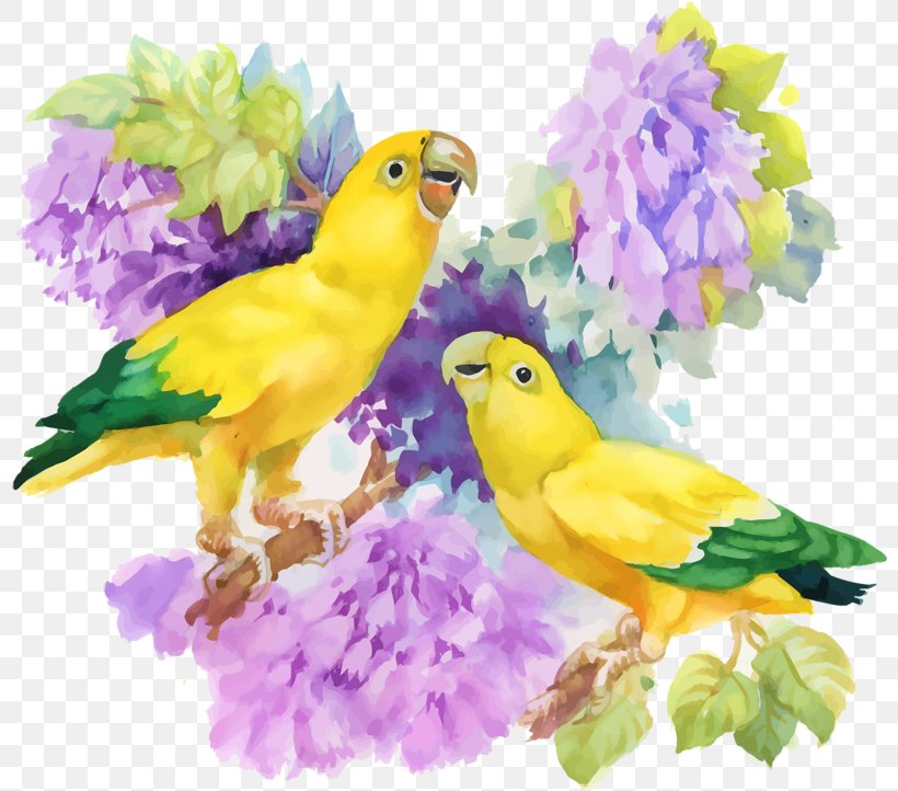 Watercolor Painting, PNG, 800x722px, Watercolor Painting, Art, Beak, Bird, Common Pet Parakeet Download Free